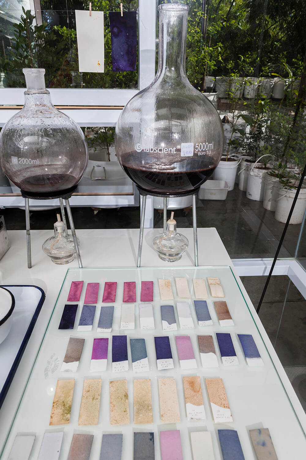 37 ESTUDIO color lab GALERIA IMG_5403.jpg